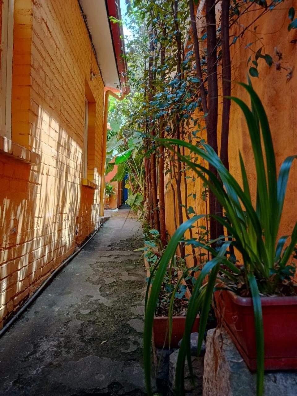 Casa-Arbol Apartment Bogota Ngoại thất bức ảnh